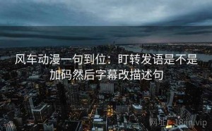 风车动漫一句到位：盯转发语是不是加码然后字幕改描述句
