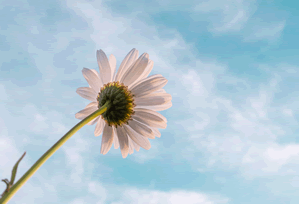 爱一番读前先打问号：先看引用是不是截断，再一句话写口径（读完更清醒）